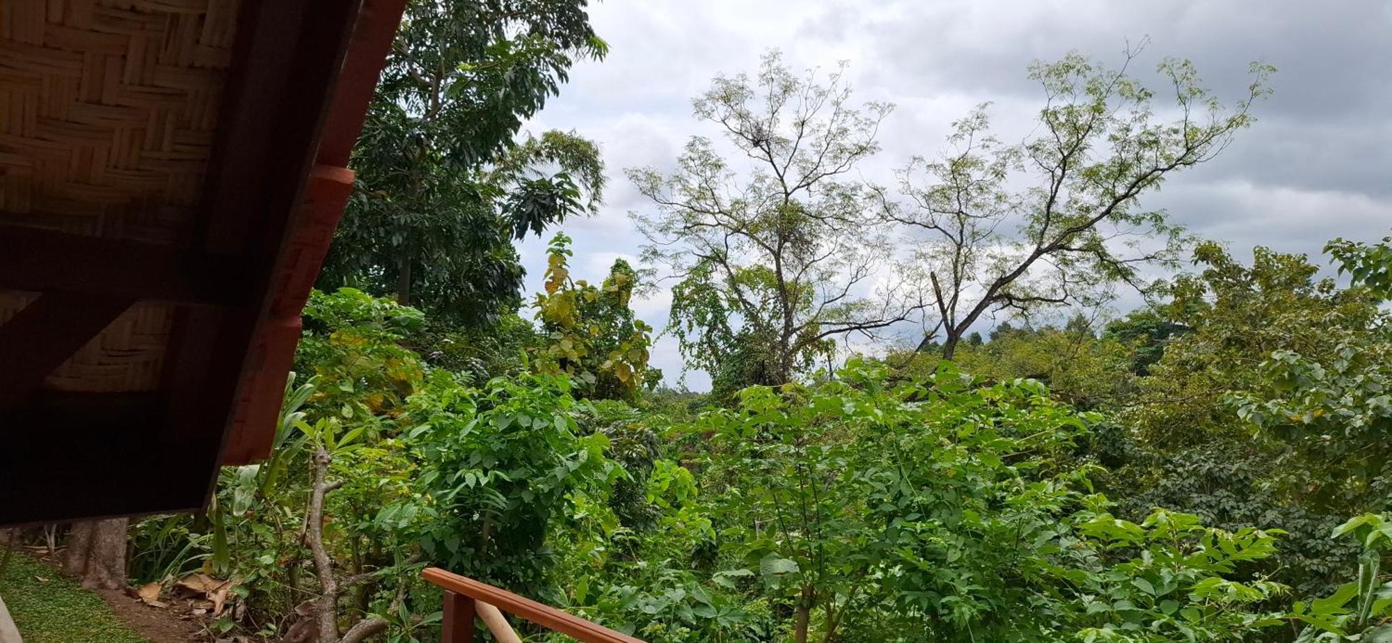 Hotel Uma Nirmala Aling-Aling Singaraja Exterior foto