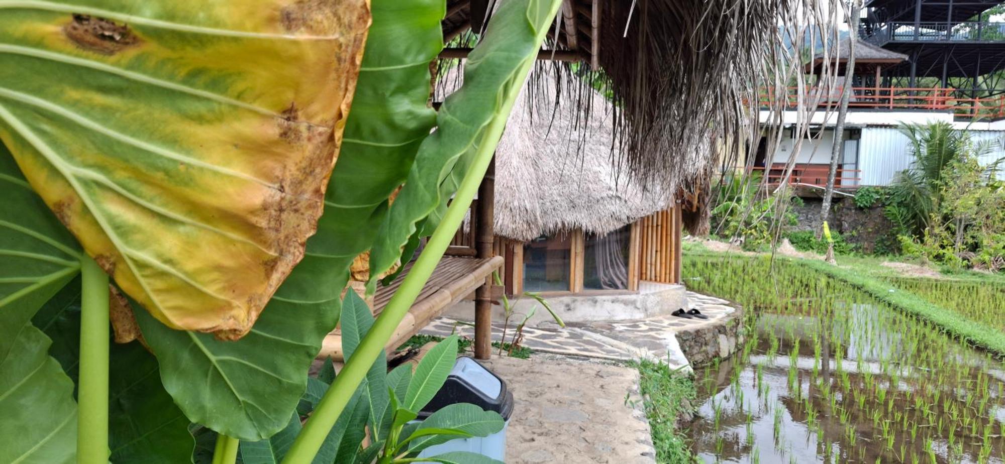 Hotel Uma Nirmala Aling-Aling Singaraja Exterior foto